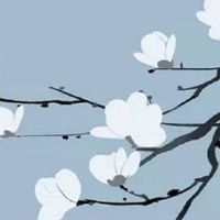 女人左上额头有颗痣 有极好的贵人运