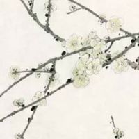 属虎和属猪的婚姻怎么样 幸福稳定要珍惜