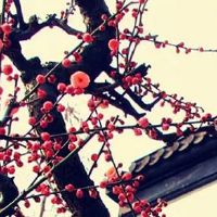 2022年4月生肖鸡幸运数字为8 青色为吉利的幸运色