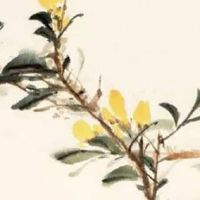 男的最不好的是几两的命 称骨骨重几两的命最好