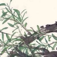 2022年5月4日出生的男孩八字命理分析 百事亨通 富贵显达