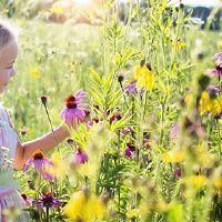 在过去的2022年里，第七天的第二天七腹部在第七天是良好的？