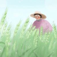 小氧农民应该做什么外地管理,夏季收获,施肥杂草