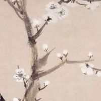 夫妻宫化权化忌 命主配偶当家做主