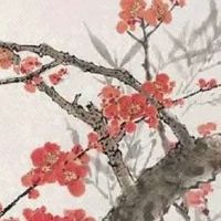 98年属虎的最佳婚配表 配之马狗猪结良缘