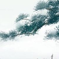 2022年5月15日出生男孩八字命理分析 博学多才 贵人相助