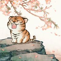 这是最好的虎女孩最好的话语。