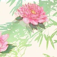 2022网络技术公司名称大全名称