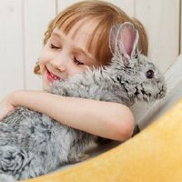 在2022年初的2022年初,在2022年初出生的老虎婴儿占据了名称的名称。