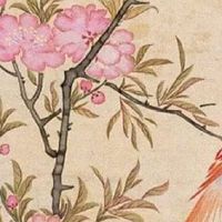 2019年猪到底是土命还是木命 土猪之命忌配猴蛇