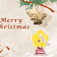 1975年肚子2022财富47岁的兔子很好