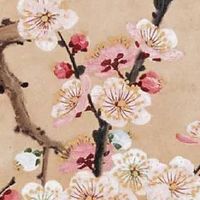 属龙女和什么属相最配 鸡猴可谓最佳人选