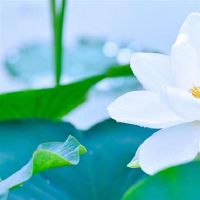 我不想做“花瓶”,3个星座女性的才华!