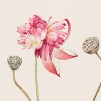 2022年6月1日提车好不好 农历五月初二可以买新车吗