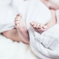 Tiger Baobao,出生于27日的晚上,今天命名为婴儿生活