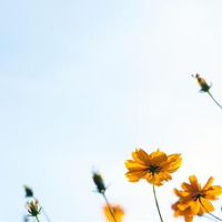 这些星座非常受欢迎,他们的爱,超级幸福!