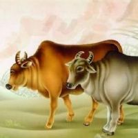 2022牛人民财富1985年牛2022令人难以遇到每月财富