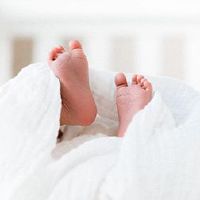 在2022年14:11出生的老虎婴儿的名字非常令人惊叹