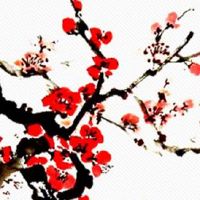 天府在夫妻宫贵妇之命 天府于巳亥宫独坐夫妻宫