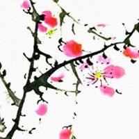 双耳贴脑的女人嫁贵夫 一生发展顺遂