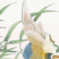 手机号码磁场解析 助事业顺口靓号盘点