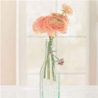 情人节即将来临,12星座打算怎么过