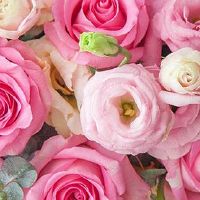 2022年7月11日适合结婚吗 这天日子如何