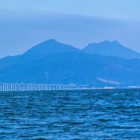 猴子在2019年幸运的颜色