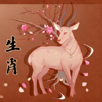 2022年是天空中的一只羊,如何检查感情