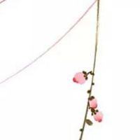 2022年会遇到正缘的八字 乙丑日柱桃花运比较旺盛