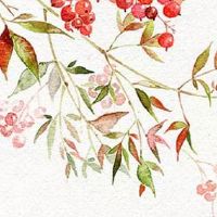 耳朵不对称必成大器 家庭幸福美满