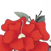 上等命出生的日子 以下出生日期财源深厚