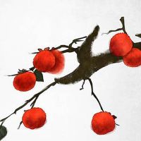 桃花运旺盛的女人手相图解 感情线比较深且直