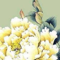 如何选到好的手机号码 升职加薪靓号数组