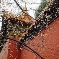 2022年属蛇的人在5月份爱情运势好不好 婚姻中沟通不能少