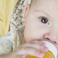 杨姓鼠宝宝起名