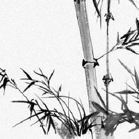 2022年6月6日出生女孩八字五行查询 衣禄不少 财富无忧