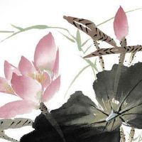 2022年6月10日出生的属虎女宝宝是什么命 晚景贤良 人缘运佳