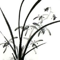 公司名字大全免费查询 企业取顺口好名