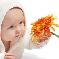 230岁生日的男孩五行的名字是什么？