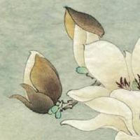 五行属火的人开店取名 独特有价值新店名字