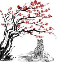 十二生肖老虎人的2022年全年财富位置得到改善