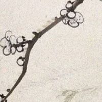 四两一钱女命有几次婚姻 一生只爱一人