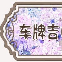 38 license plate really no one wants not Geely Digital lightning