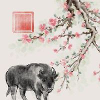 属牛桃花运2022 容易脱单异性缘高