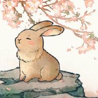 是兔子和马的黄道带？互相帮助