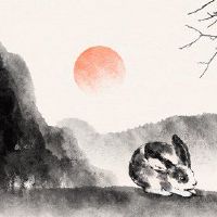 在75日,婚姻后兔子人为47岁