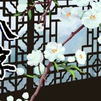 什么是高调的生活?