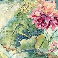 2022年6月13日出生属虎女宝宝八字五行查询 福禄荣昌 清福之命