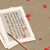 公司名称Lang Lang,公司名称